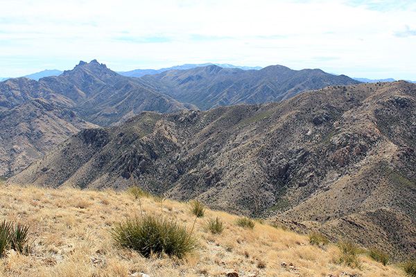 The Chiricahua Mountains from the south summit of Wood Mountain
