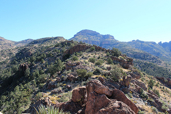 The view up the northwest ridge from a cliff top. Gila Peak rises beyond.