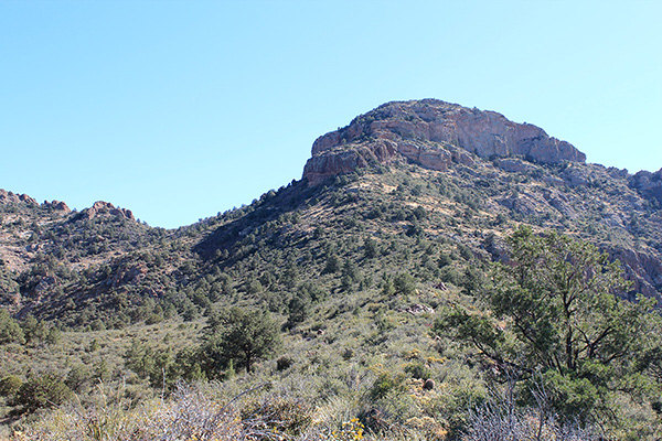 Once on the upper NW Ridge we push through the brush and traverse below the cliffs to gain the saddle on the left.