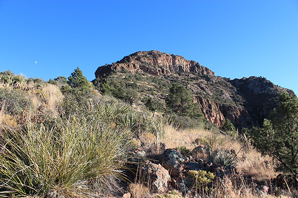 An afternoon view of Gila Peak as we descend off the upper northwest ridge.