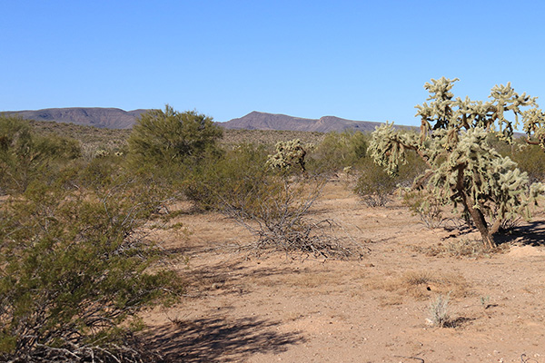 Gro Benchmark from the Cabeza Prieta National Wildlife Refuge border