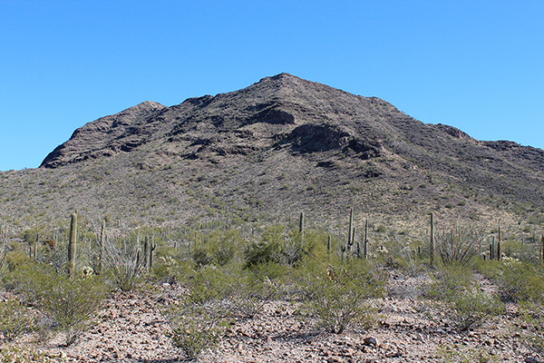 Black Mountain from the southwest; the summit is on the left