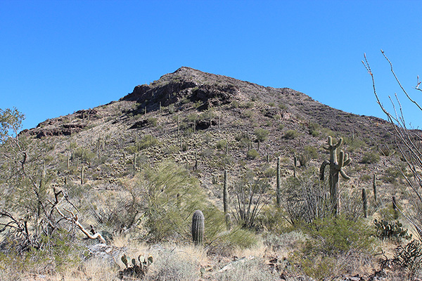 Looking up the southwest ridge; from the peak above one traverses north to the summit