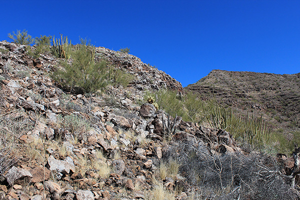 I gain the crest on good footing low on the southwest ridge