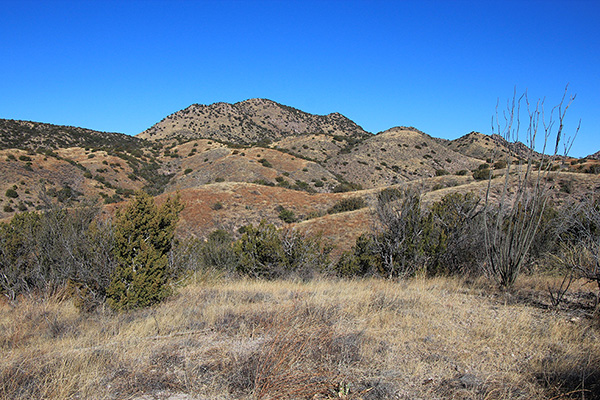 Peak 6290 (L) and Peak 6280+ (R) in the center of this view from my drive in on Forest Road 231