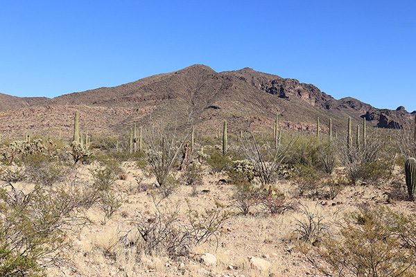 Sauceda Benchmark from my afternoon drive out along the Pipeline Road