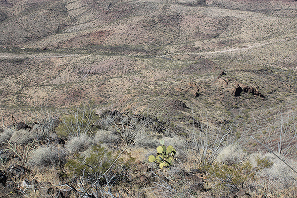 Looking down the lower northwest ridge towards the Pipeline Road