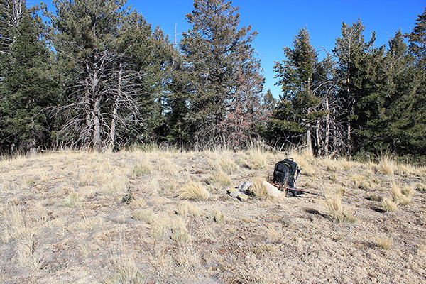 Sitgreaves Mountain summit meadow and cairn