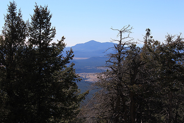 Bill Williams Mountain to the southwest from the Sitgreaves Mountain summit