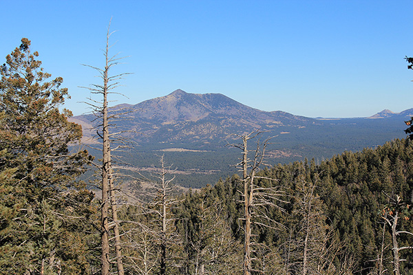 Kendrick Peak to the ENE from high on Sitgreaves Mountain's SE Ridge