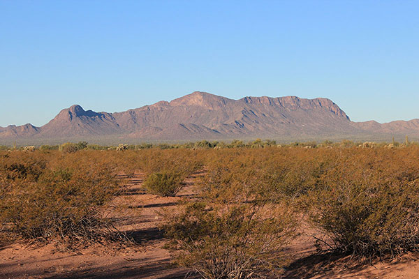 Ben Nevis Mountain to the west from Arizona Highway 86