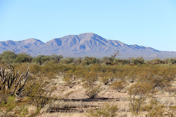 Our view of Morena Mountain/Horse Peak off Indian Road 19 at the Chukut Kuk District boundary.