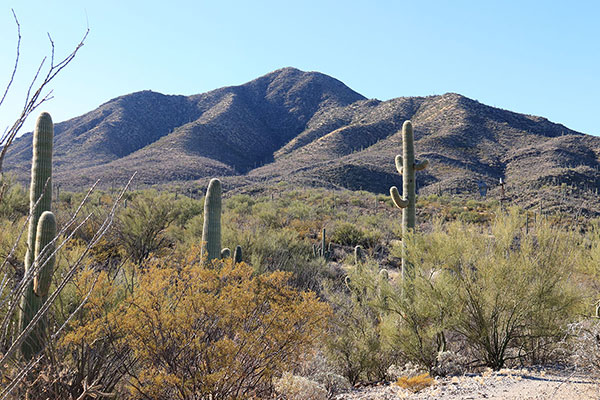 Morena Mountain/Horse Peak from Haivan Vaya. Our ascent route is the ridge on the right. We descended left of center.