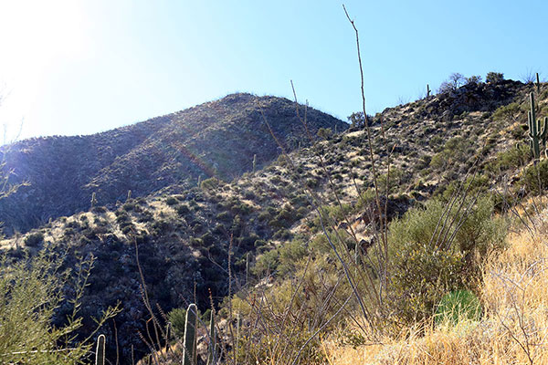 Horse Peak from the lower north slopes of Morena Mountain