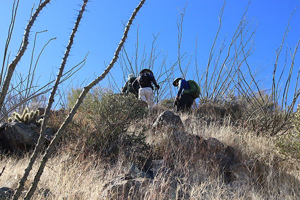 Matthias, Scott, and Michael climb the lower north slopes of Morena Mountain