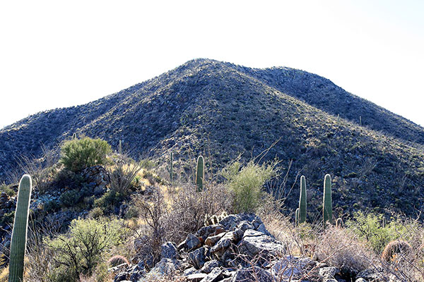 The upper north slopes of Morena Mountain with Horse Peak on the right