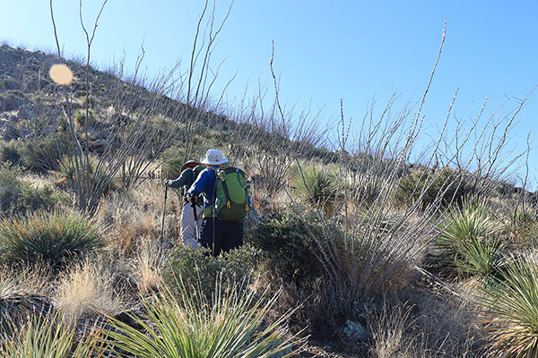 Matthias and Scott lead higher through brush up the north slopes of Morena Mountain