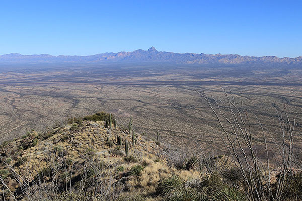 Baboquivari Peak from the Horse Peak summit