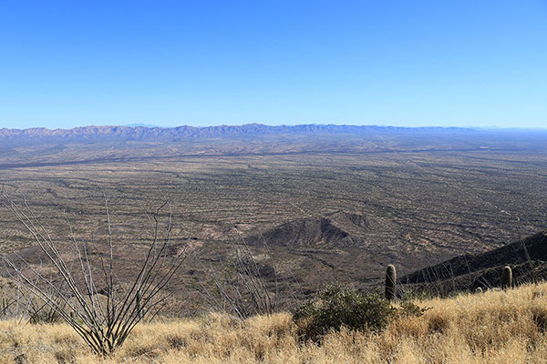 ESE towards the Pozo Verde Mountains and the Border Road on the right