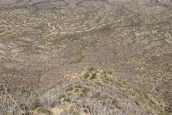 Turning left, we descended more directly north towards Haivan Vaya.