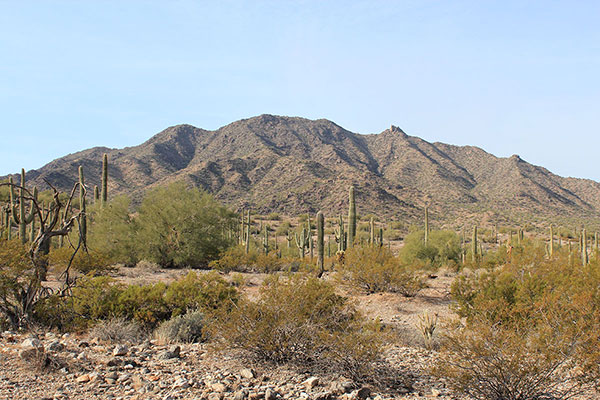 A view of the Maricopa Mountains Highpoint as we approached the peak on the drive in