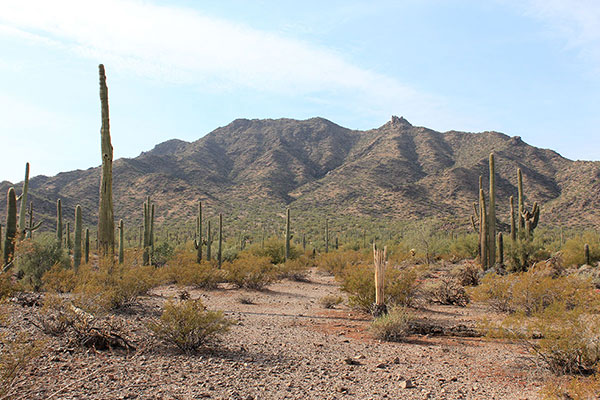 The view of the Maricopa Mountains Highpoint from our parking spot. The northeast ridge begins left of center.