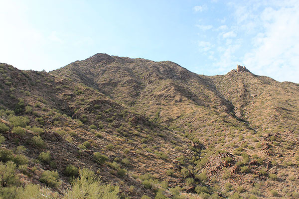 The Maricopa Mountains Highpoint (Peak 3272) rises above us from low on the northeast ridge