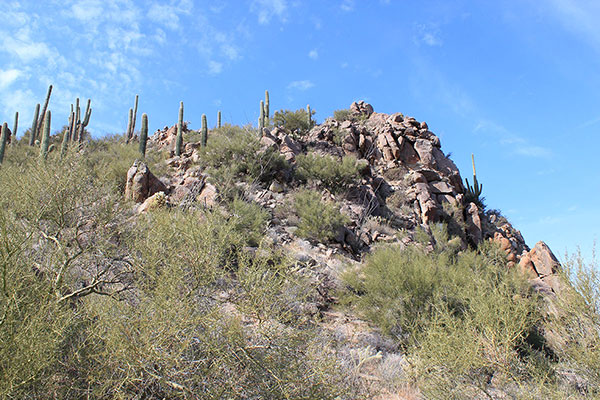 I took a slightly more direct route than the others at this point. The summit ridge is just ahead.