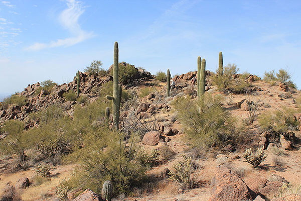 John and Dave approach the Maricopa Mountains Highpoint left of center ahead