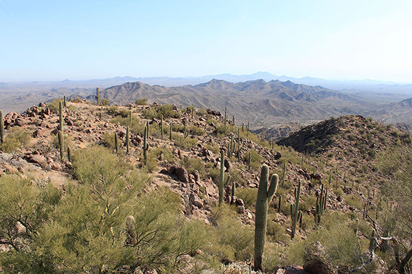 The view southeast from the southeast summit