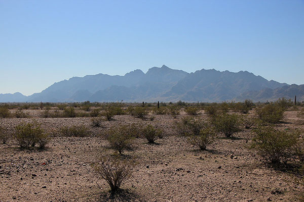 Nose Benchmark from the north. This profile resembles a face, with the summit forming the nose and the chin and throat to the left.