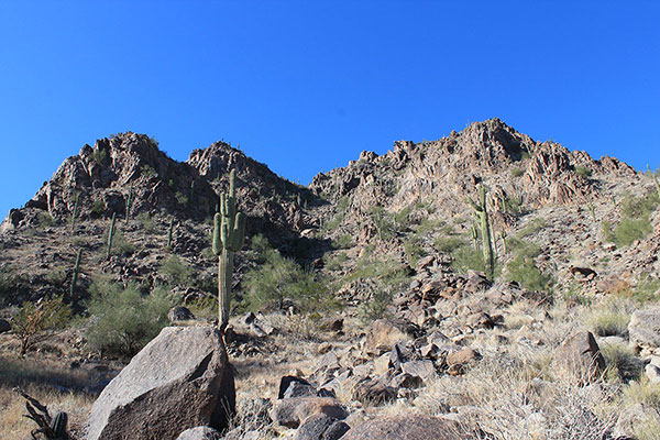 We generally climbed on the right side of the steep NE gully where the rock footing was stable.