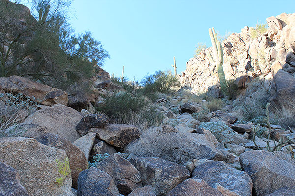 We approach the top of our NE ascent gully. The rocks were generally stable and fun to climb across.