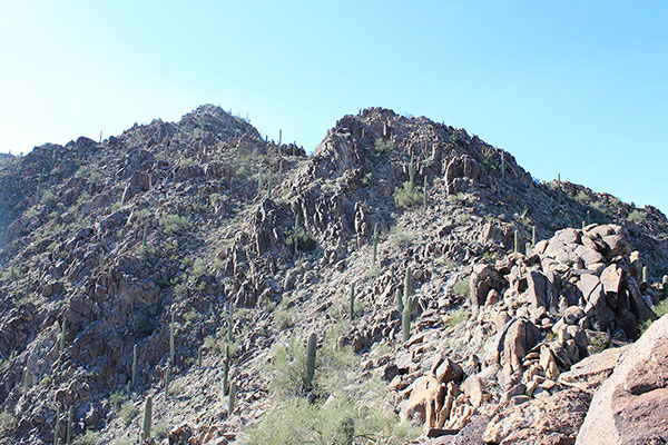 The summit lies above on the left. We followed a sheep higher to a notch on the right.