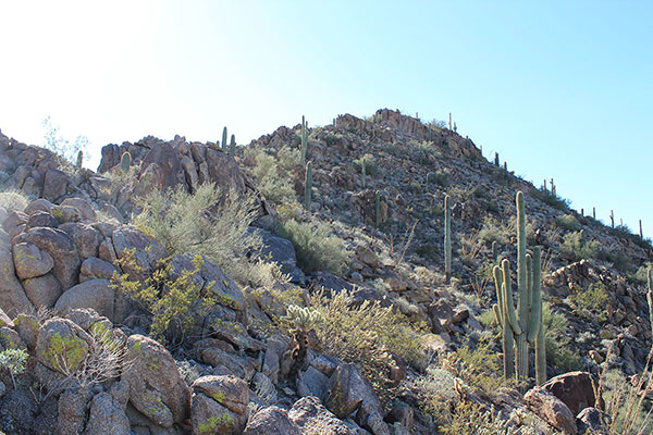 From the notch we could see the summit above us.