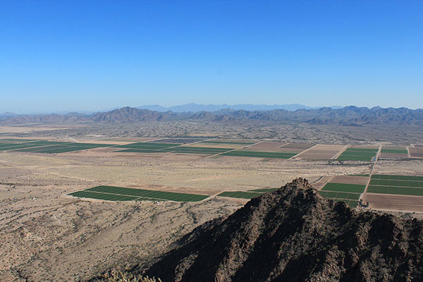 The view NE from the summit across the Maricopa Mountains. Margies Peak is on the left. The Sierra Estrella lie beyond.