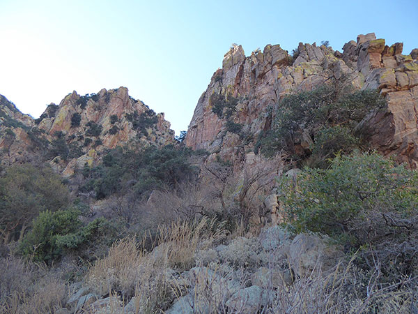 From the shoulder we climb up this steep and brushy draw towards the notch above