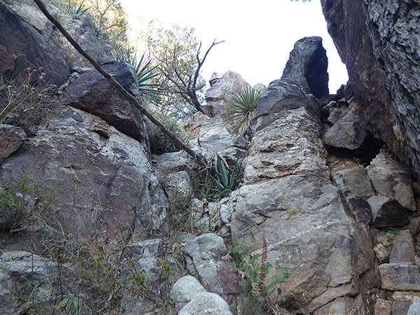 From the notch we we climb this face, then traverse left to find and follow a ledge