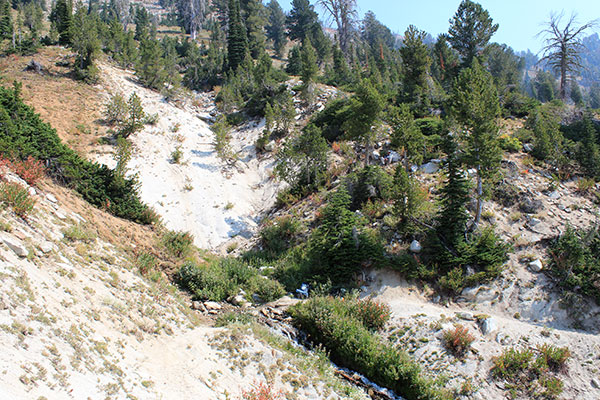 An unnamed but delightful spring beside the Cliff Creek Trail