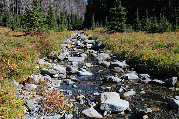 The South Fork of the Breitenbush River