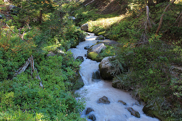 Milky Whitewater Creek carrying glacial flour