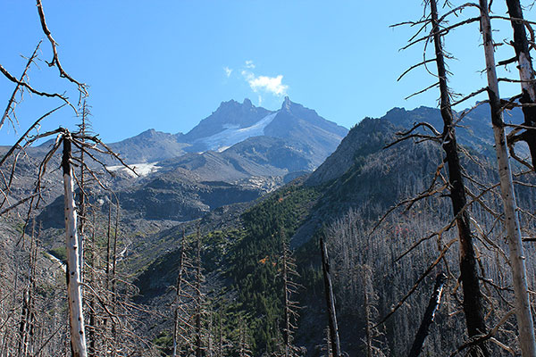 Mount Jefferson rising above Russell Creek