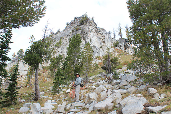 Larry leading low on the SE Ridge of Krag Peak. We climbed above to the right of these cliffs.