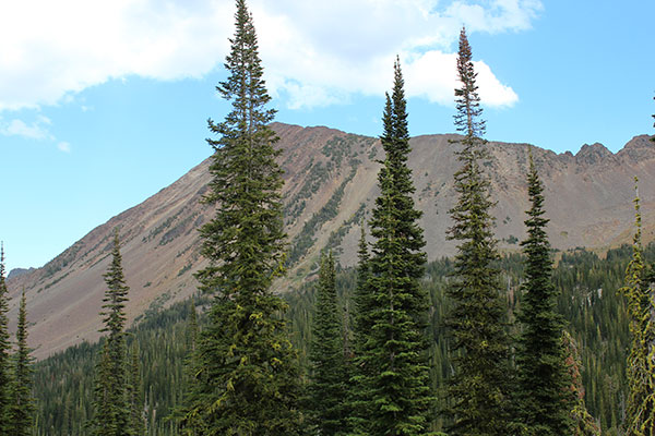 Afternoon view of Red Mountain from our Crater Lake campsite