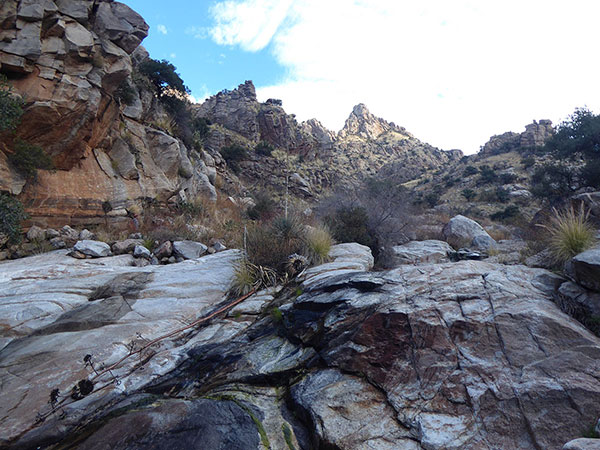 The Wolf's Teeth rise far above the floor of Pima Canyon