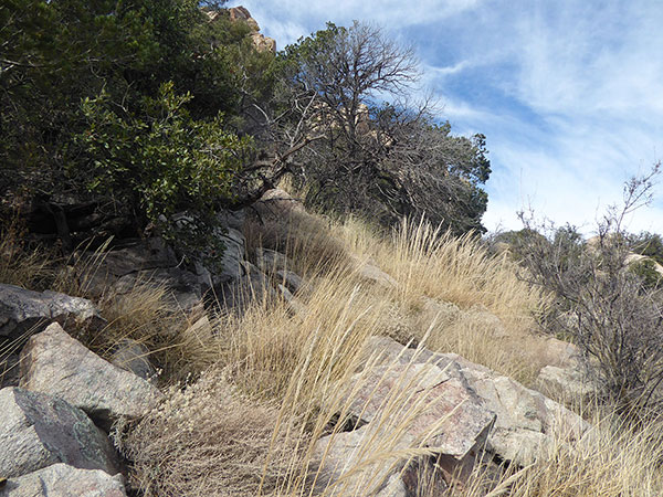 From the notch we traverse up to the left to enter a ramp rising between rock walls.