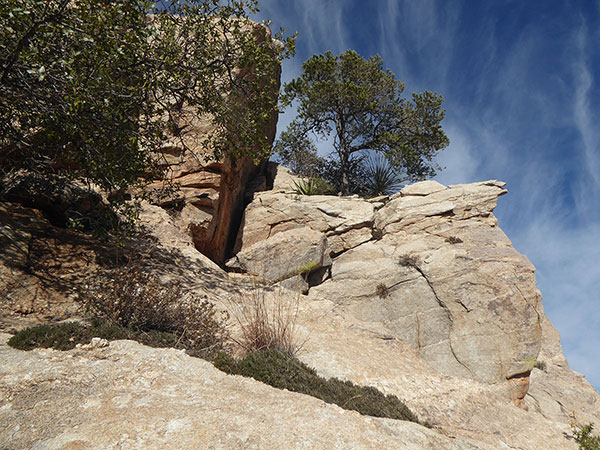 This alternative route avoids climbing the wall higher to the left in the ramp. Turn left just beyond the tree.