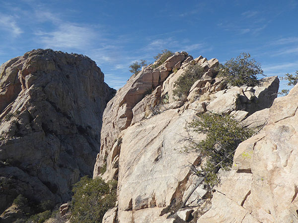 The exposed summit ridge rises on the right, Table Mountain rises to the left.