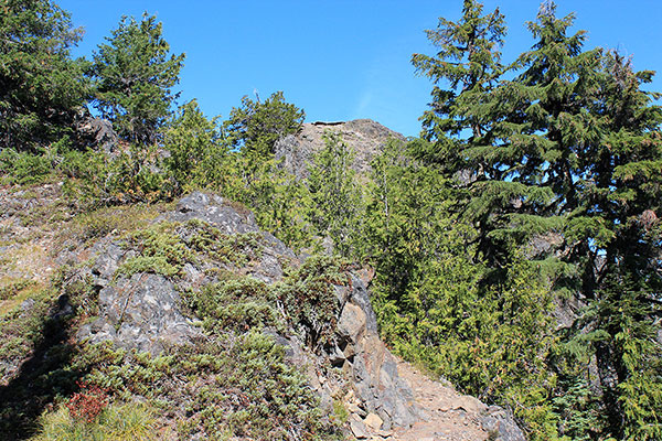 Looking up towards the Tidbits Mountain Lookout site atop a short rock scramble