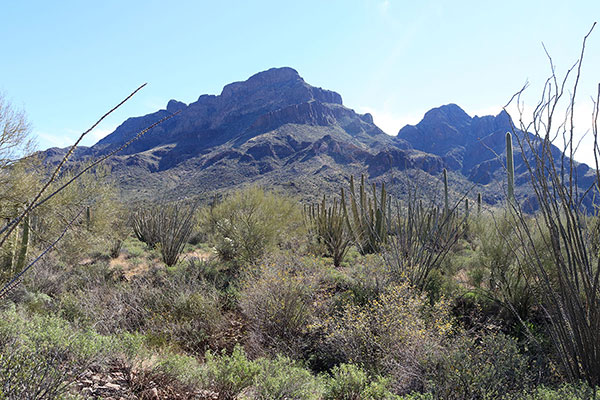 Diaz Peak from the desert floor